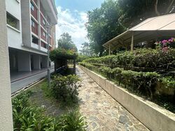 Blk 248 Hougang Avenue 3 (Hougang), HDB 3 Rooms #572223861